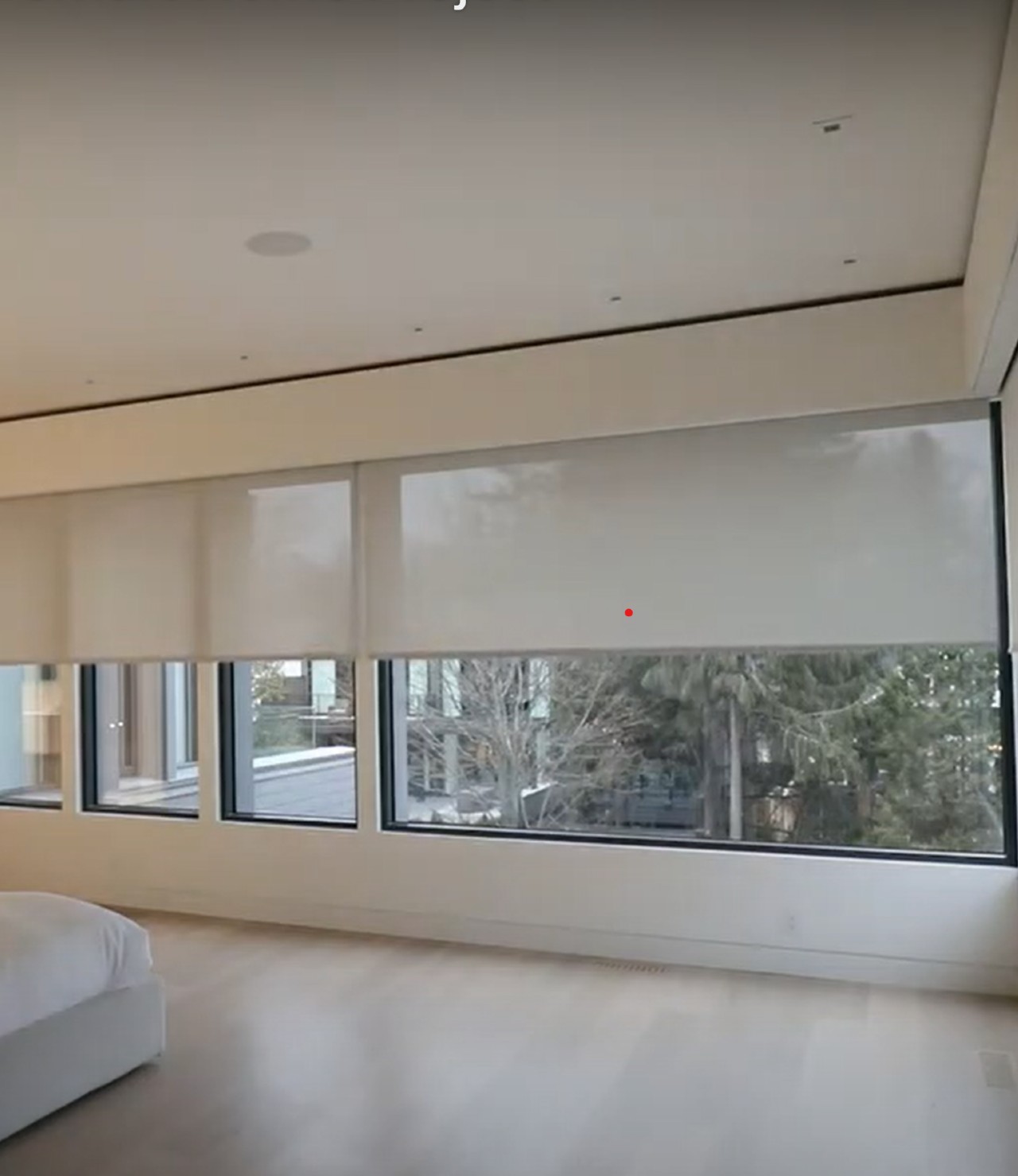 Remote Motorized Shades